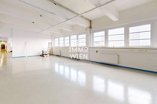 Gewerbeobjekt mieten in 2514 Traiskirchen (Bild 1)