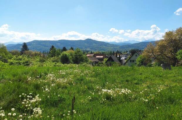 Grundstück kaufen in 9201 Krumpendorf (Bild 1)