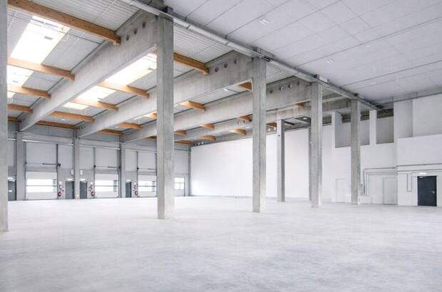 Lager mieten in 2351 Wr. Neudorf (Bild 3)