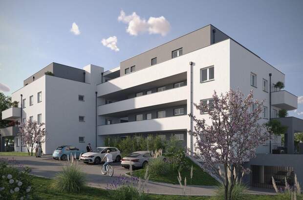 Wohnung mieten in 4560 Kirchdorf (Bild 2)
