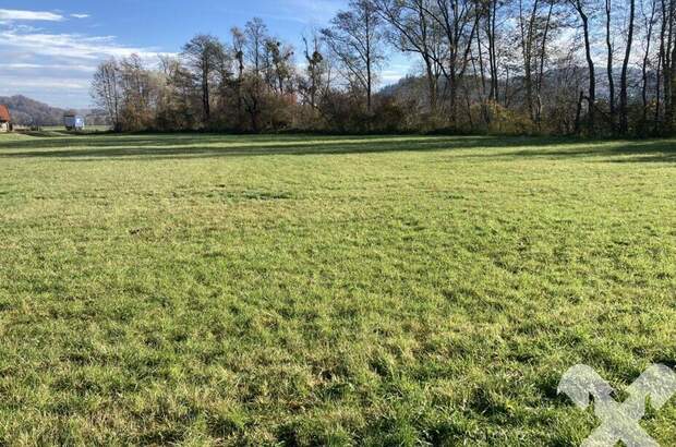 Gewerbeobjekt kaufen in 8341 Paldau (Bild 1)