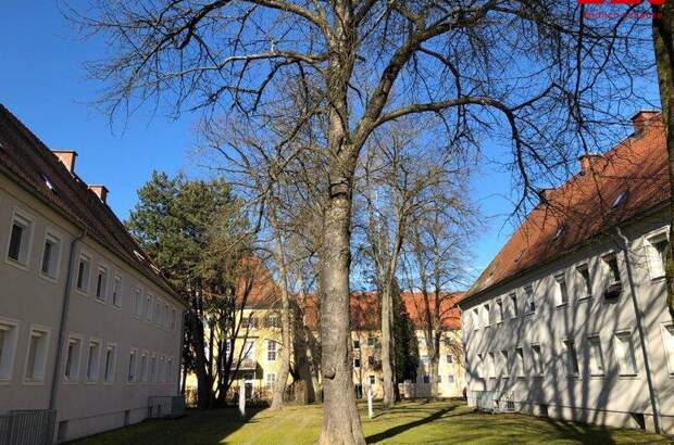 Mietwohnung in 4400 Steyr (Bild 2)