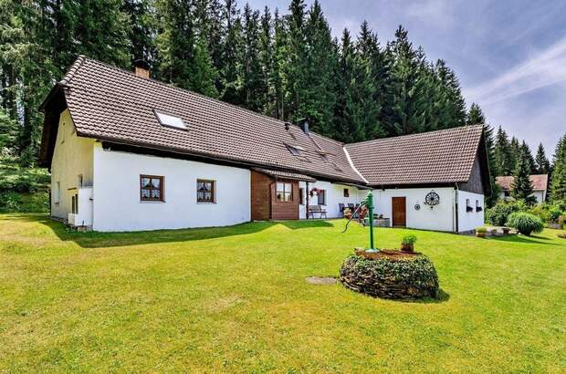 Haus kaufen in 38279 Frymburk (Bild 1)