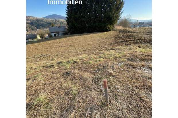 Grundstück kaufen in 8670 Krieglach (Bild 5)