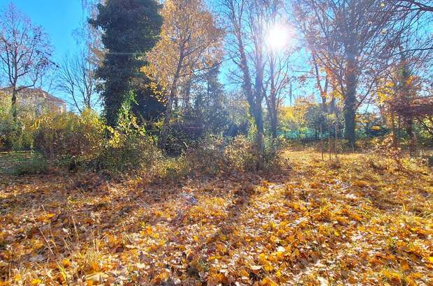 Grundstück kaufen in 1130 Wien (Bild 4)