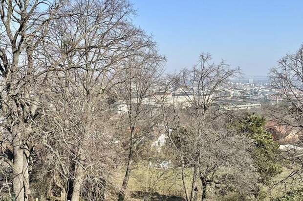 Grundstück kaufen in 2340 Mödling (Bild 5)