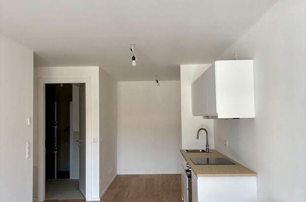 Mietwohnung in 1130 Wien (Bild 3)