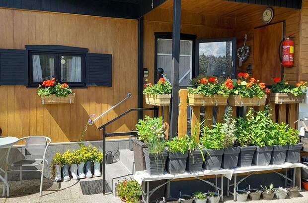 Ferienhaus kaufen in 3162 Rainfeld (Bild 3)