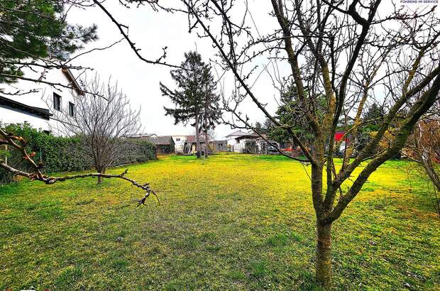 Grundstück kaufen in 2283 Obersiebenbrunn (Bild 2)