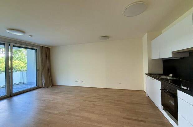 Terrassenwohnung mieten in 1130 Wien (Bild 2)