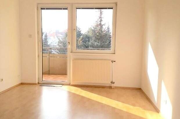 Wohnung kaufen in 2361 Laxenburg (Bild 2)