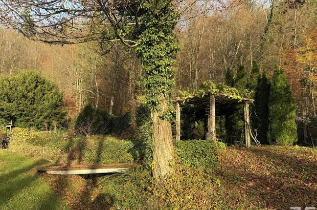 Haus kaufen in 5026 Salzburg (Bild 3)