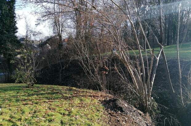 Haus kaufen in 8461 Ehrenhausen (Bild 4)
