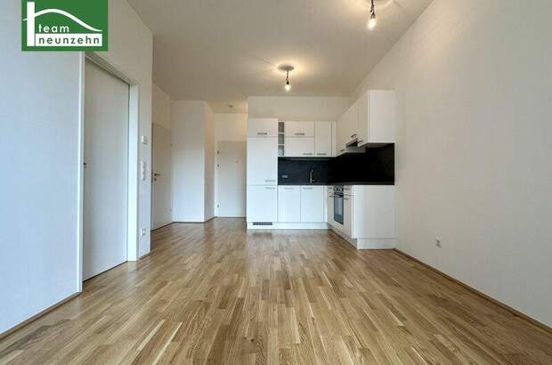 Terrassenwohnung mieten in 1220 Wien (Bild 1)