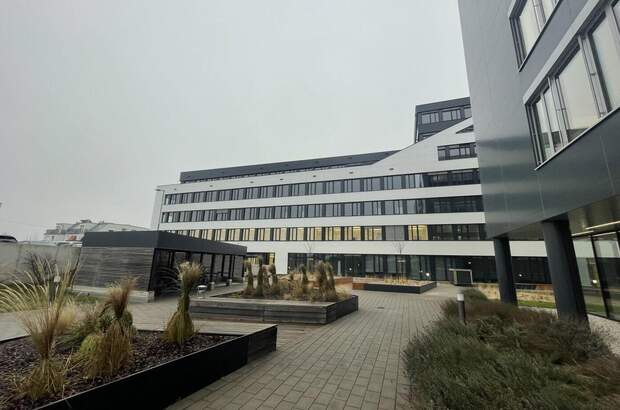 Gewerbeobjekt mieten in 1230 Wien (Bild 2)