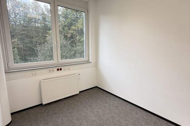 Gewerbeobjekt mieten in 8200 Gleisdorf (Bild 5)