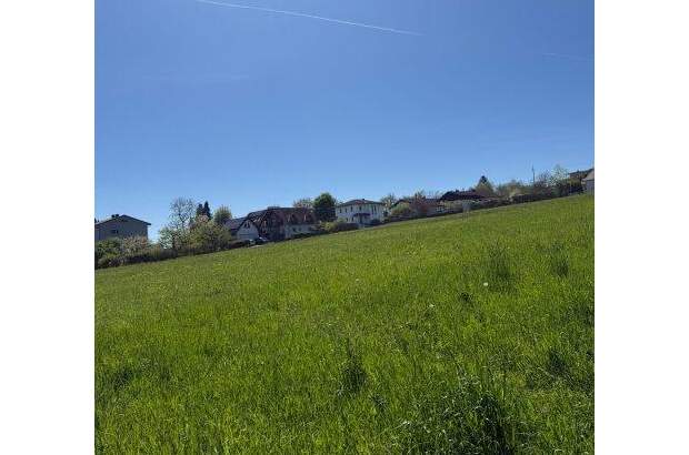 Mehrfamilienhaus kaufen in 4501 Neuhofen (Bild 3)