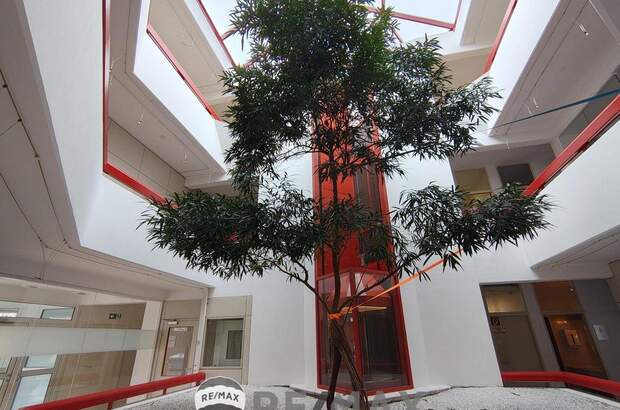 Gewerbeobjekt mieten in 1140 Wien (Bild 4)