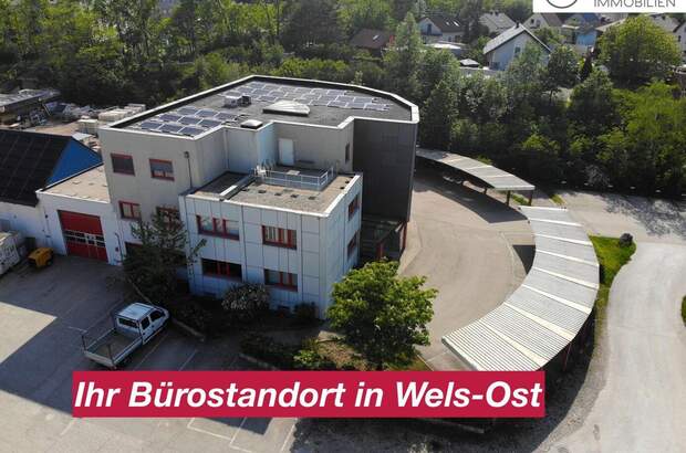 Gewerbeobjekt mieten in 4600 Wels (Bild 1)