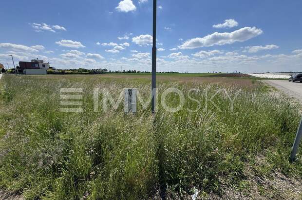 Grundstück kaufen in 2201 Gerasdorf (Bild 2)