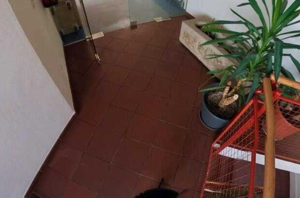 Gewerbeobjekt mieten in 4614 Marchtrenk (Bild 5)