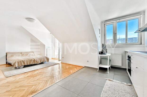 Terrassenwohnung kaufen in 1020 Wien (Bild 4)