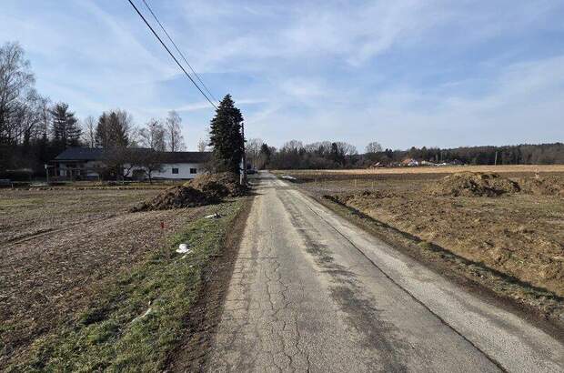 Grundstück kaufen in 8483 Deutsch Goritz (Bild 3)