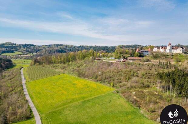 Grundstück kaufen in 8333 Riegersburg (Bild 1)
