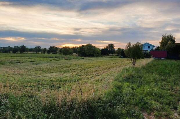 Grundstück kaufen in 7141 Podersdorf (Bild 1)