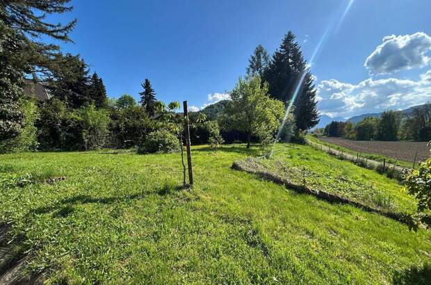 Haus kaufen in 9122 Klopein (Bild 3)