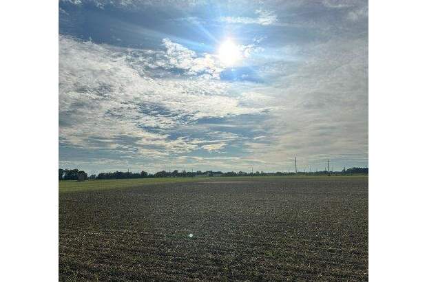 Mehrfamilienhaus kaufen in 4064 Oftering (Bild 4)