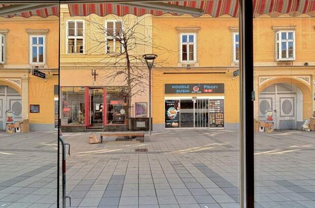 Gewerbeobjekt mieten in 2700 Wiener Neustadt (Bild 4)