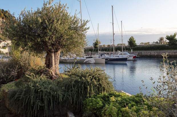 Haus kaufen in 34011 Duino (Bild 1)