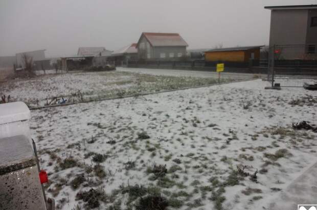 Grundstück kaufen in 7083 Purbach (Bild 3)