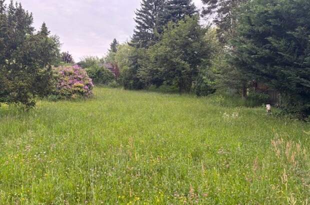 Grundstück kaufen in 3032 Eichgraben (Bild 4)