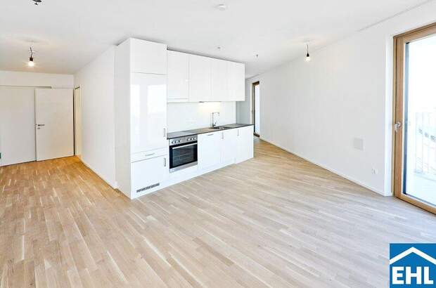 Terrassenwohnung mieten in 1100 Wien (Bild 1)