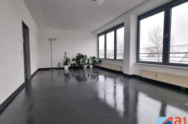 Gewerbeobjekt mieten in 4040 Linz (Bild 2)