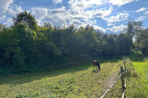 Grundstück kaufen in 9061 Tultschnig (Bild 2)