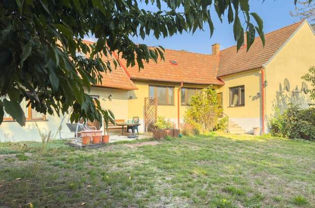 Haus kaufen in 2284 Untersiebenbrunn (Bild 4)