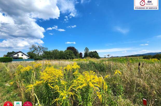 Grundstück kaufen in 2700 Wr. Neustadt (Bild 1)