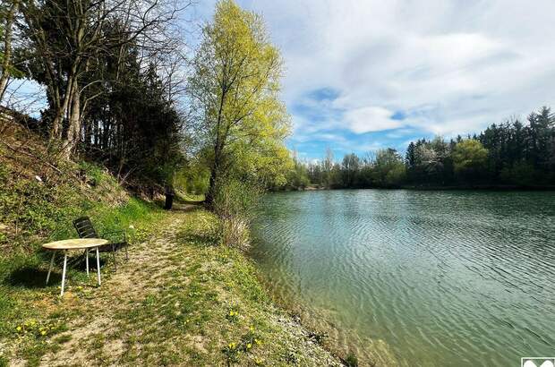 Gewerbeobjekt kaufen in 3382 Neubach (Bild 4)