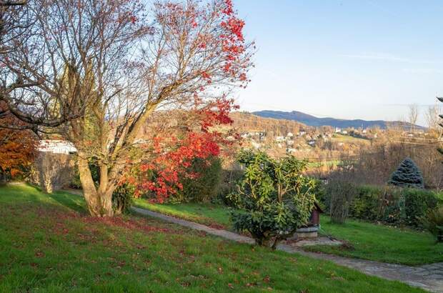 Haus mit Garten kaufen in 4060 Leonding (Bild 1)