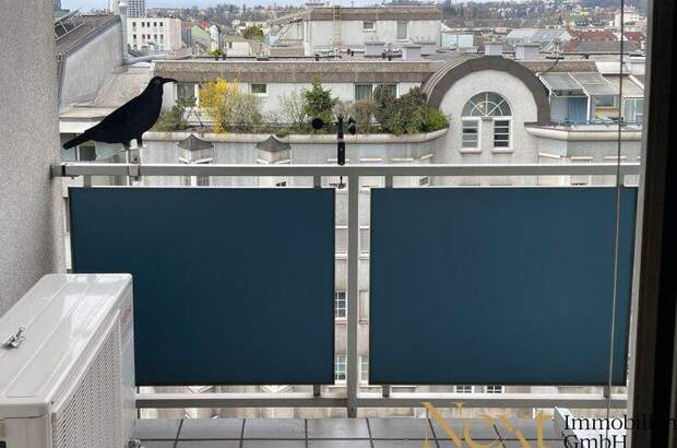Terrassenwohnung mieten in 4020 Linz (Bild 3)