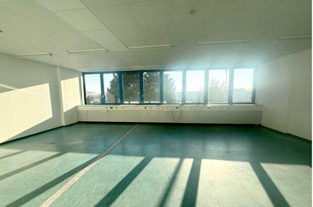 Büro / Praxis mieten in 2351 Wr. Neudorf (Bild 1)