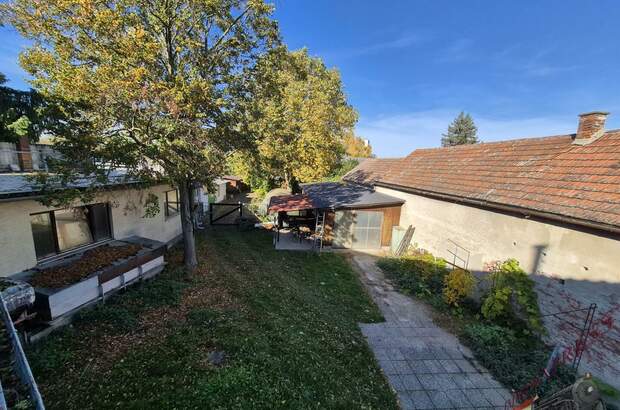 Einfamilienhaus kaufen in 2304 Orth (Bild 3)