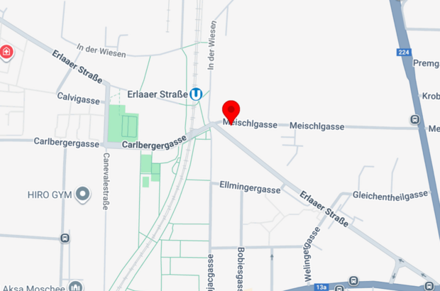 Immobilie mieten in 1230 Wien (Bild 1)