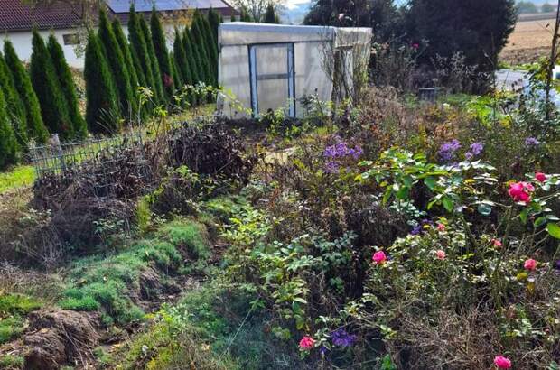 Haus kaufen in 8350 Johnsdorf (Bild 4)