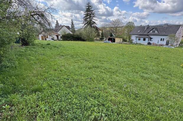 Grundstück kaufen in 4223 Bodendorf (Bild 2)