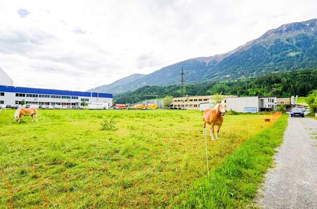 Gewerbeobjekt kaufen in 6404 Polling (Bild 2)