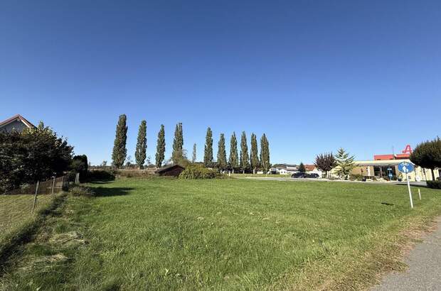 Grundstück kaufen in 8431 Gralla (Bild 3)